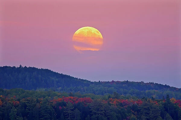 Moon rising over LAke of Two Rivers Algonquin Provincial Park, Ontario, Canada