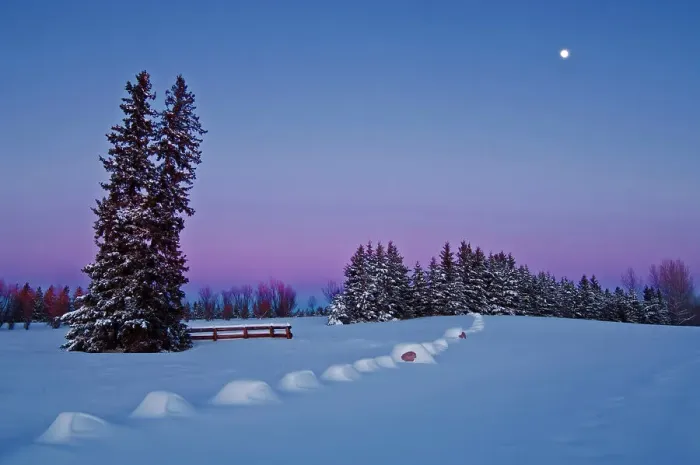 Framed Print : moonrise at dusk in winter Birds Hill Provincial Park, Manitoba, Canada