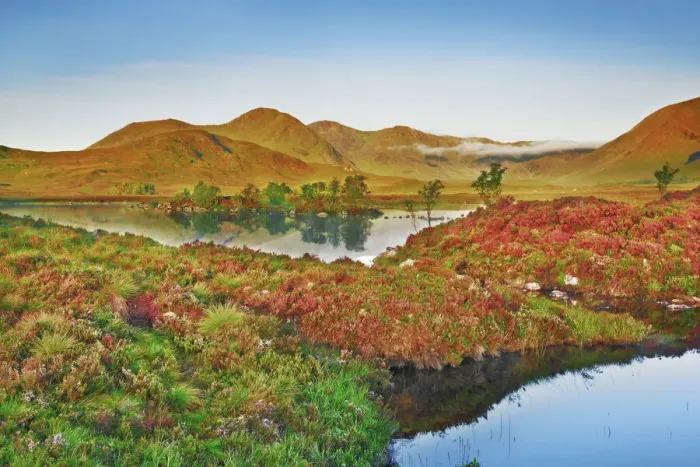 Framed Print : Moor lake in Rannoch Moor - United Kingdom, Scotland, Argyll and Bute Framed Print : Moor lake in Rannoch Moor - United Kingdom, Scotland, Argyll and Bute