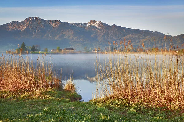 Moor lake and reed - Germany, Bavaria, Upper Bavaria, Bad Tolz-Wolfratshausen, Kochel