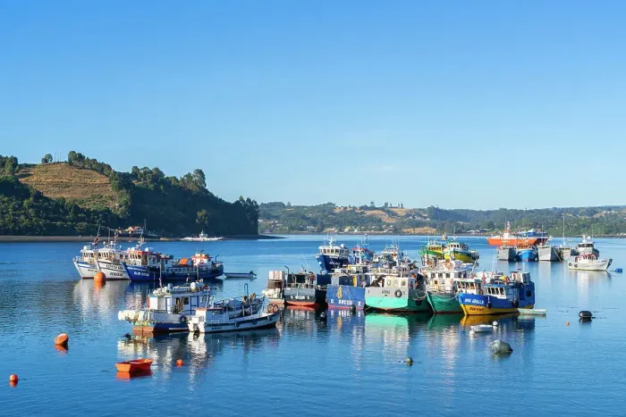 Framed Print : Moored boats in harbor, Dalcahue, Chiloe Province, Los Lagos Region, Chile Framed Print : Moored boats in harbor, Dalcahue, Chiloe Province, Los Lagos Region, Chile