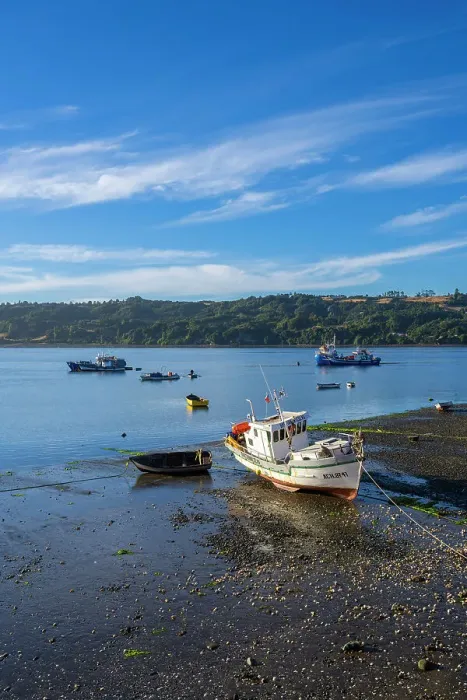 Framed Print : Moored boats in harbor, Dalcahue, Chiloe Province, Los Lagos Region, Chile Framed Print : Moored boats in harbor, Dalcahue, Chiloe Province, Los Lagos Region, Chile
