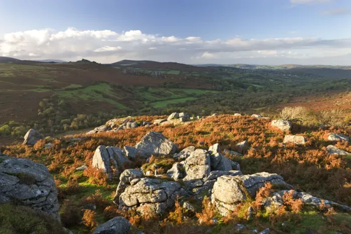 Framed Print : Moorland in Autumn, Dartmoor National Park, Devon, England. Autumn Framed Print : Moorland in Autumn, Dartmoor National Park, Devon, England. Autumn