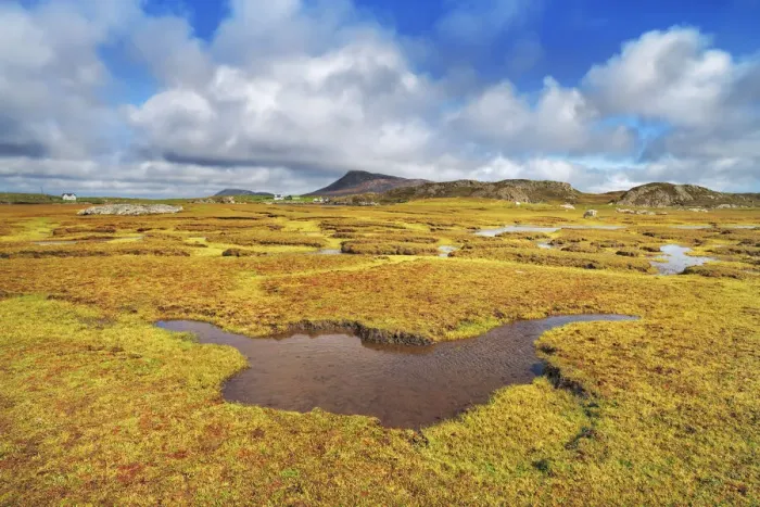 Framed Print : Moorland on Grimsay - United Kingdom, Scotland, Outer Hebrides, Grimsay Framed Print : Moorland on Grimsay - United Kingdom, Scotland, Outer Hebrides, Grimsay