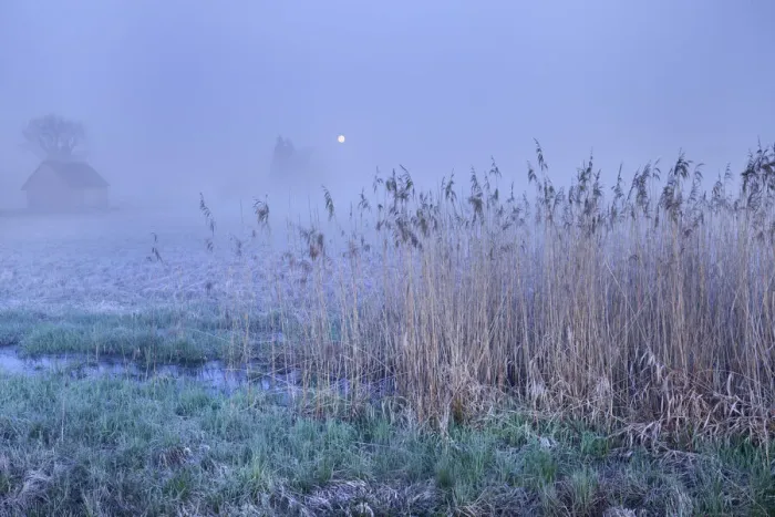 Framed Print : Moorland and moon - Germany, Baden-Wurttemberg, Tubingen, Biberach Framed Print : Moorland and moon - Germany, Baden-Wurttemberg, Tubingen, Biberach