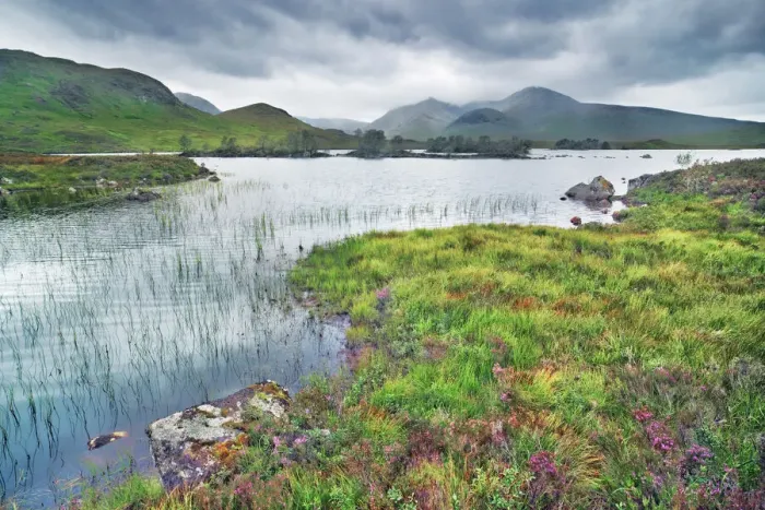 Framed Print : Moorland at Rannoch Moor - United Kingdom, Scotland, Argyll and Bute Framed Print : Moorland at Rannoch Moor - United Kingdom, Scotland, Argyll and Bute
