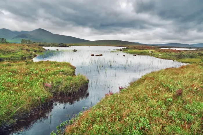 Framed Print : Moorland at Rannoch Moor - United Kingdom, Scotland, Argyll and Bute Framed Print : Moorland at Rannoch Moor - United Kingdom, Scotland, Argyll and Bute