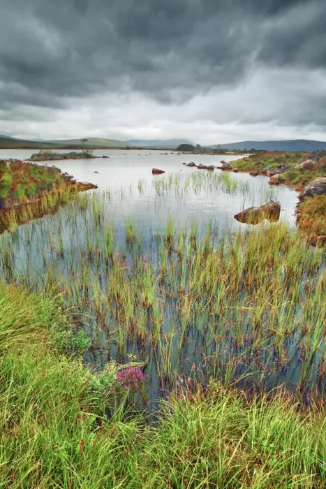 Framed Print : Moorland at Rannoch Moor - United Kingdom, Scotland, Argyll and Bute Framed Print : Moorland at Rannoch Moor - United Kingdom, Scotland, Argyll and Bute