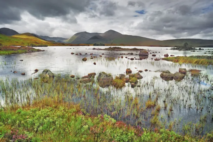 Framed Print : Moorland at Rannoch Moor - United Kingdom, Scotland, Argyll and Bute Framed Print : Moorland at Rannoch Moor - United Kingdom, Scotland, Argyll and Bute