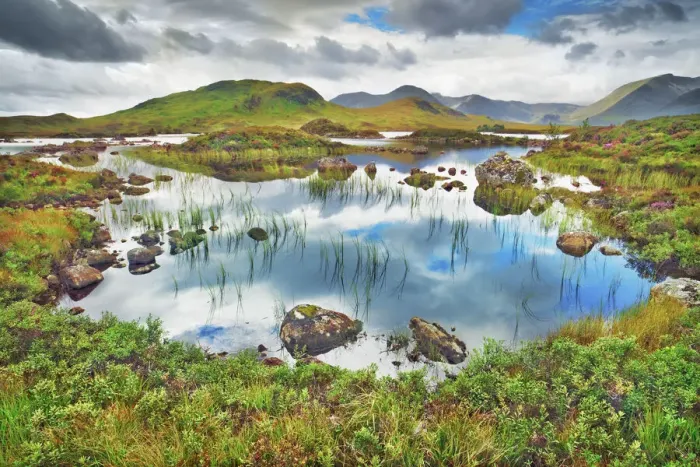 Framed Print : Moorland at Rannoch Moor - United Kingdom, Scotland, Argyll and Bute Framed Print : Moorland at Rannoch Moor - United Kingdom, Scotland, Argyll and Bute