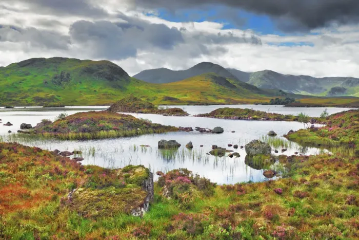 Framed Print : Moorland at Rannoch Moor - United Kingdom, Scotland, Argyll and Bute Framed Print : Moorland at Rannoch Moor - United Kingdom, Scotland, Argyll and Bute