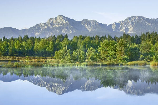 Moorland at Schoenramer Filz - Germany, Bavaria, Upper Bavaria, Berchtesgadener Land