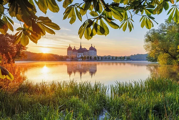 Moritzburg Castle, water reflection in the lake, Saxony, Germany, Europe
