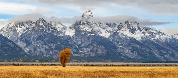 Framed Print : Mormon Row, Grand Teton National Park, Wyoming, USA Framed Print : Mormon Row, Grand Teton National Park, Wyoming, USA