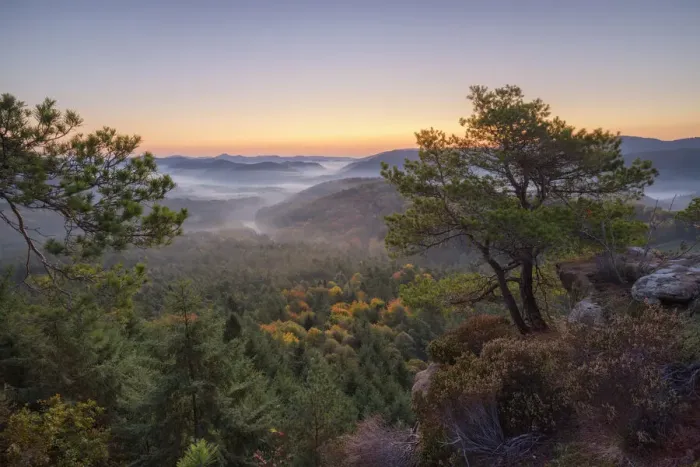 Framed Print : Morning atmosphere at Palatinate Forest, Dahner Felsenland, Palatinate Forest Framed Print : Morning atmosphere at Palatinate Forest, Dahner Felsenland, Palatinate Forest