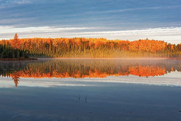Morning fog in autumn at an unknown lake. Duck Mountain Provincial Park Manitoba, Canada