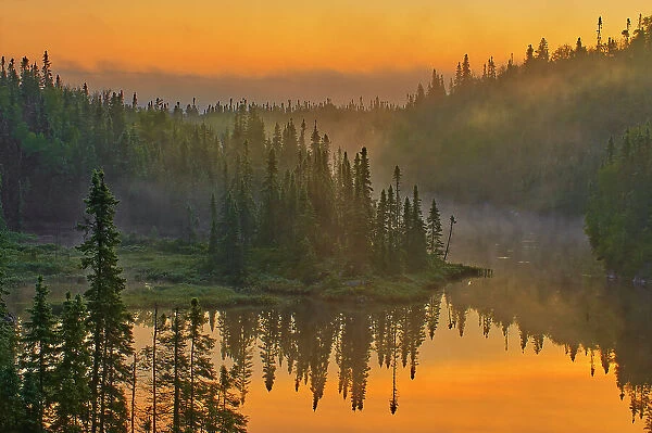 Morning fog in the boreal forest Schreiber, Ontario, Canada