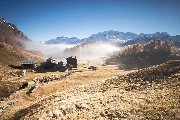 Morning fog on the mountain huts of Buaira framed by snowy peaks Sils Maloja Canton
