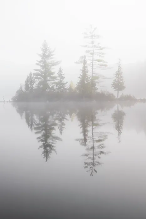 Framed Print : Morning fog on Ricker Pond, Groton State Forest, Vermont, USA Framed Print : Morning fog on Ricker Pond, Groton State Forest, Vermont, USA