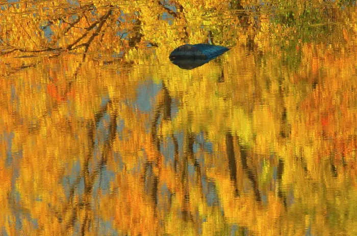 Framed Print : Morning fog at sunrise on the Vermilion River Whitefish, Ontario, Canada