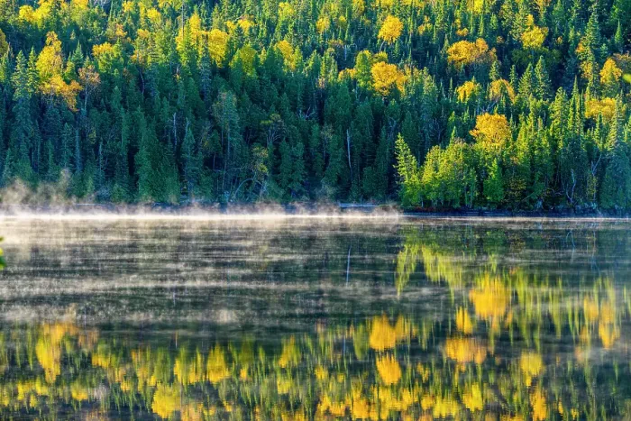 Framed Print : Morning mist on Fenton-Treeby Lake, Lake Superior Provincial Park, Ontario, Canada
