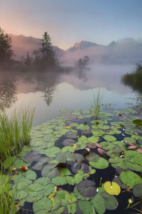 Framed Print : Morning mist at lake Barmsee at sunrise against Karwendel range, Kruen, near Mittenwald Framed Print : Morning mist at lake Barmsee at sunrise against Karwendel range, Kruen, near Mittenwald