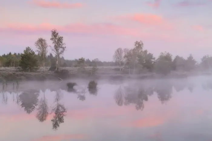 Framed Print : Morning mist over moor lake, Schoenramer Filz, Rupertiwinkel, Upper Bavaria, Germany Framed Print : Morning mist over moor lake, Schoenramer Filz, Rupertiwinkel, Upper Bavaria, Germany