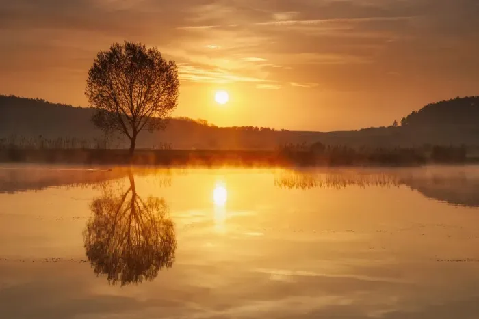 Framed Print : Morning mist over pond, Ilm district, Thuringia, Germany Framed Print : Morning mist over pond, Ilm district, Thuringia, Germany
