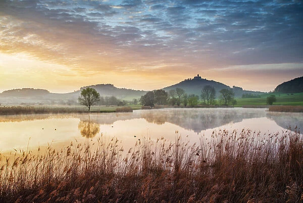 Morning mist over pond with Wachsenburg castle in the background