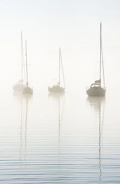 Morning mist on Windermere, Cumbria, UK