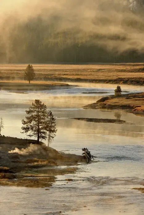 Framed Print : Morning mists on the Yellowstone River near the Mud Volcano, Yellowstone NP, Wyoming, USA Framed Print : Morning mists on the Yellowstone River near the Mud Volcano, Yellowstone NP, Wyoming, USA