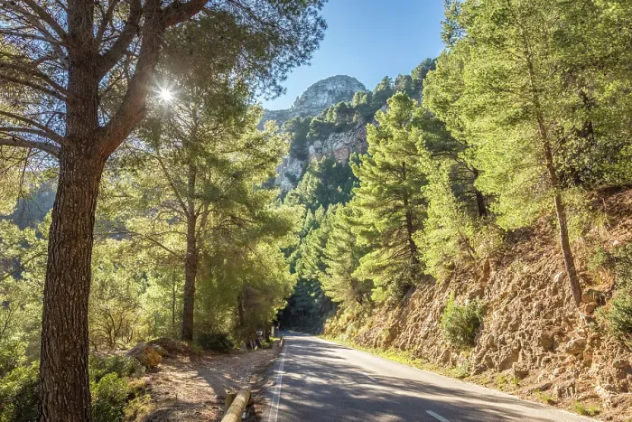 Framed Print : Morning mood on the MA-10 near the mountain village of Estellencs, Mallorca, Balearic Islands, Spain Framed Print : Morning mood on the MA-10 near the mountain village of Estellencs, Mallorca, Balearic Islands, Spain
