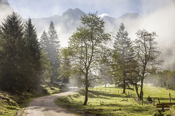 Morning mood in Obertal near Schladming, Styria, Austria