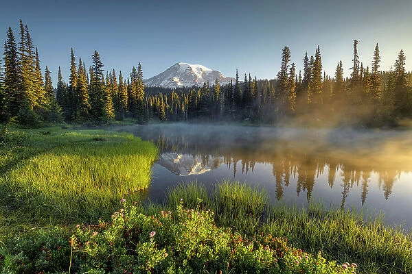 Morning at Reflection Lakes with Mt. Rainier in the background, Nationalpark Mt. Rainier, North West, Washington State, USA