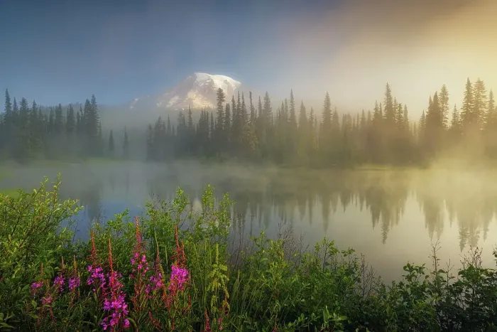 Framed Print : Morning at Reflection Lakes with Mt. Rainier in the background, Nationalpark Mt. Rainier, North West, Washington State, USA Framed Print : Morning at Reflection Lakes with Mt. Rainier in the background, Nationalpark Mt. Rainier, North West, Washington State, USA