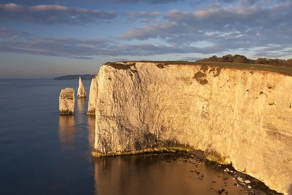 Morning sunshine illuminates Handfast Point on the Jurassic Coast, Dorset, England