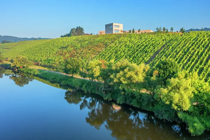 Framed Print : Morning view at the Van Volxem winery and vinothek with river Saar, Wiltingen, Rhineland-Palatinate, Germany Framed Print : Morning view at the Van Volxem winery and vinothek with river Saar, Wiltingen, Rhineland-Palatinate, Germany