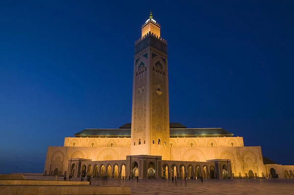 Morocco, Casablanca, Hassan II Mosque (b