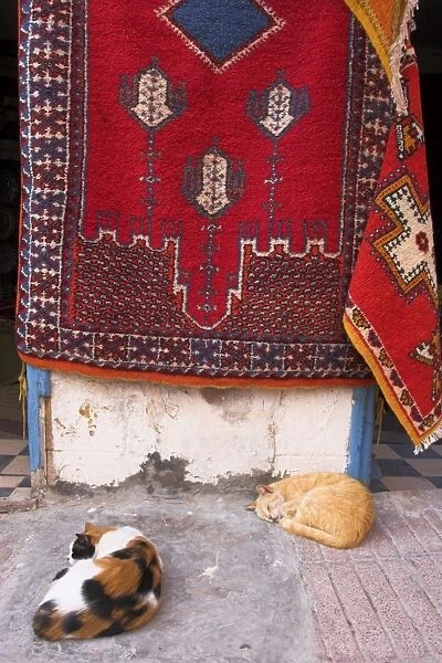 Morocco, Essaouira