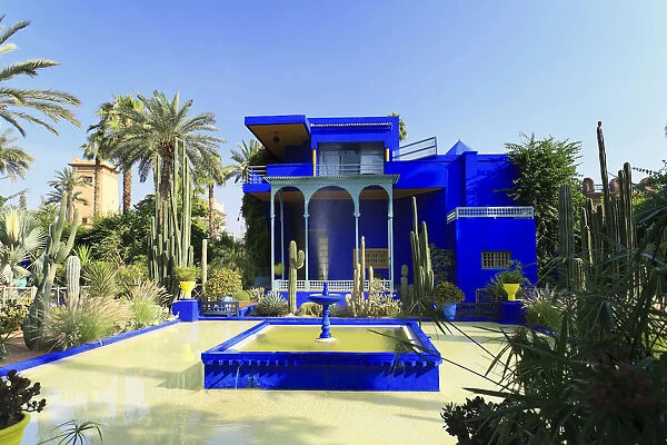 Morocco, Marrakech, Jardin Majorelle