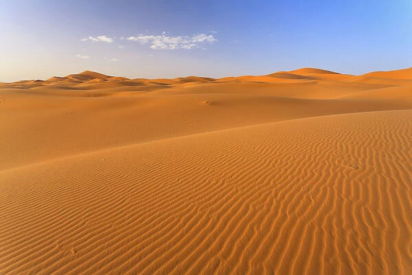 Morocco, Merzouga, Erg Chebbi Desert