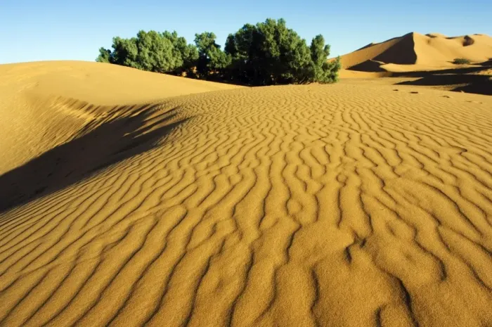 Framed Print : Morocco Merzouga Erg Chebbi Sand Dunes Ripple Framed Print : Morocco Merzouga Erg Chebbi Sand Dunes Ripple