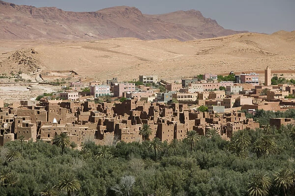 Morocco, Todra Gorge Area, Tinerhir, Town View & Palmerie Date Forest