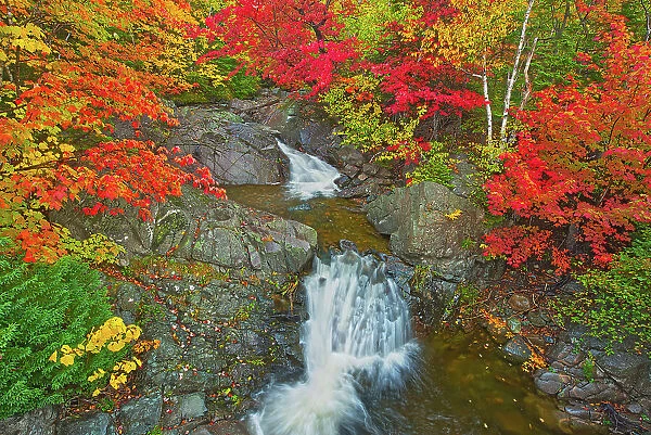 Morrison Brook and the Acadian forest in autumn foliage Cape Breton, Nova Scotia, Canada