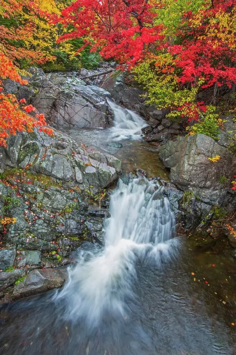 Framed Print : Morrison Brook Falls in Hardwood forest in autumn on the Cabot Trail, Cape Breton, Morrison Brook, Nova Scotia, Canada Framed Print : Morrison Brook Falls in Hardwood forest in autumn on the Cabot Trail, Cape Breton, Morrison Brook, Nova Scotia, Canada