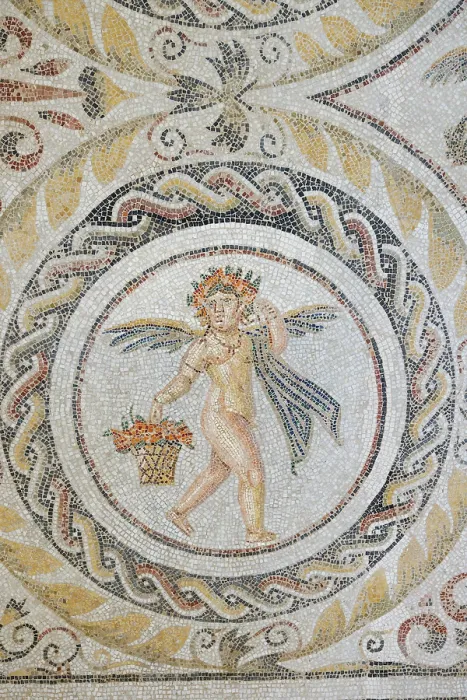 Framed Print : Mosaic at the Archaeological Museum, El Jem, Tunisia Framed Print : Mosaic at the Archaeological Museum, El Jem, Tunisia