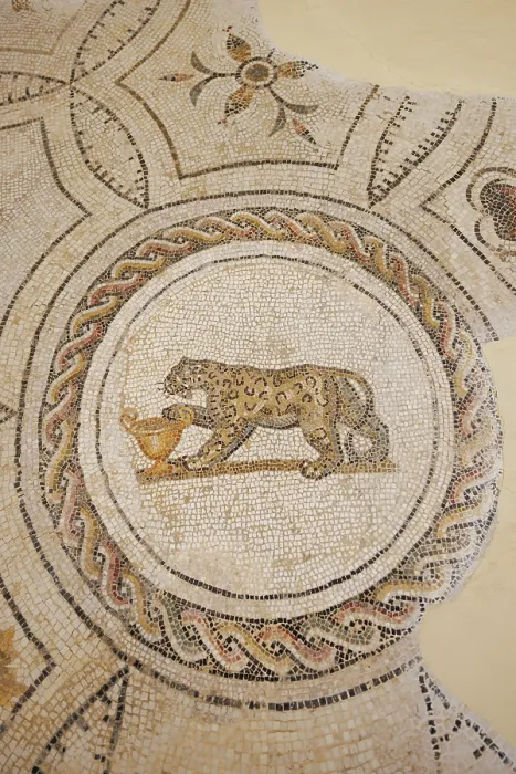Framed Print : Mosaic at the Archaeological Museum, El Jem, Tunisia Framed Print : Mosaic at the Archaeological Museum, El Jem, Tunisia