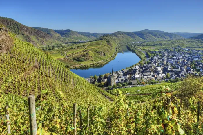 Framed Print : Mosel with Calmont vineyard, Bremm, Rhineland-Palatinate, Germany Framed Print : Mosel with Calmont vineyard, Bremm, Rhineland-Palatinate, Germany