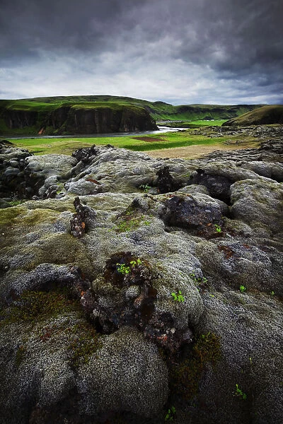 Moss-covered Lava Field, Iceland