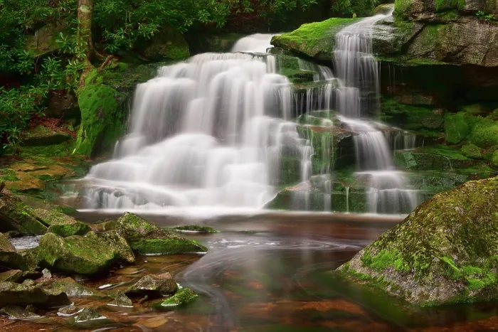 Framed Print : Moss at Elakala Falls in Blackwater Falls State Park, West Virginia, USA